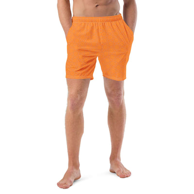 Sunburst Glam Recycled Swim Trunks at Design Dose